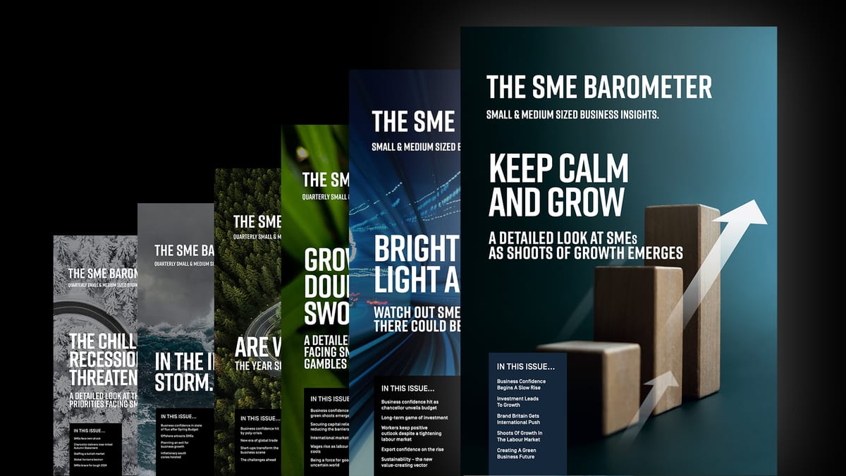 About The SME Barometer